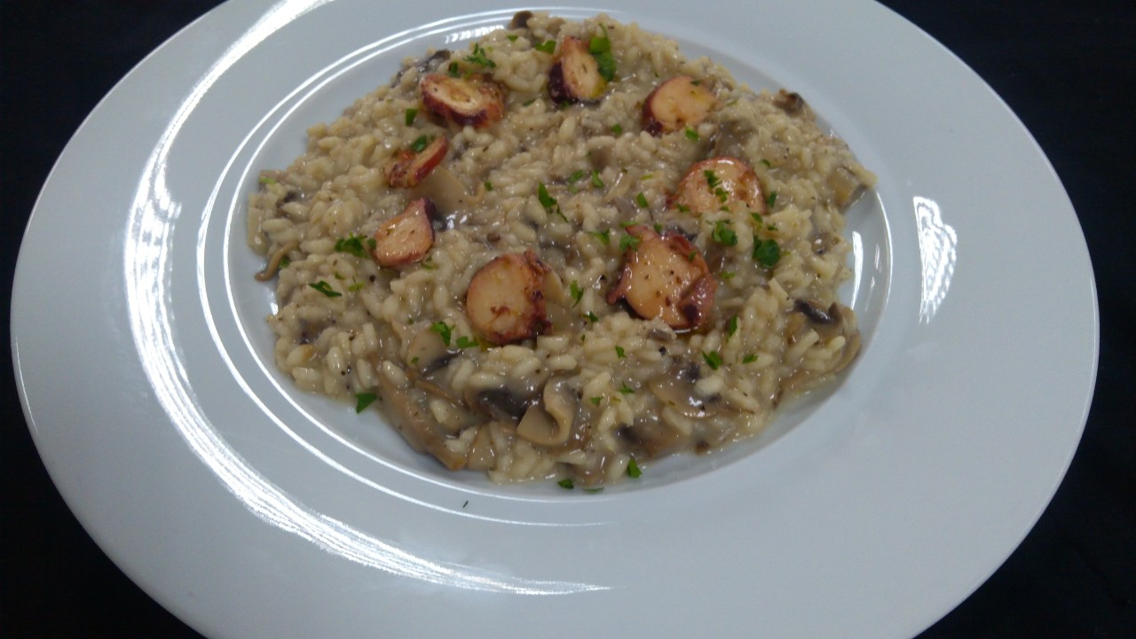 &Rho;&iota;&zeta;ό&tau;&omicron; &mu;&alpha;&nu;&iota;&tau;ά&rho;&iota;&alpha; &mu;&epsilon; &chi;&tau;&alpha;&pi;ό&delta;&iota; &kappa;&alpha;&iota; &omicron;ύ&zeta;&omicron;